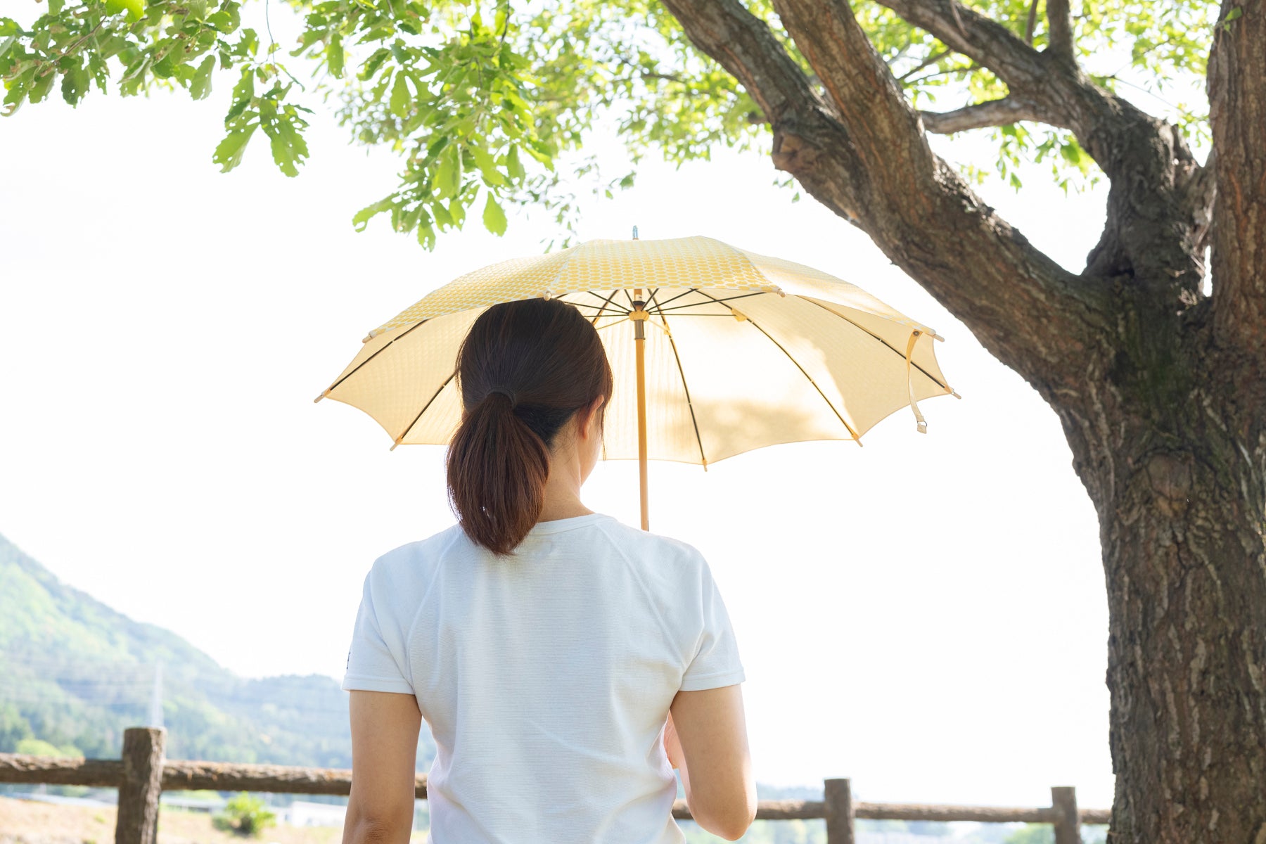 黄色の日傘を差す様子